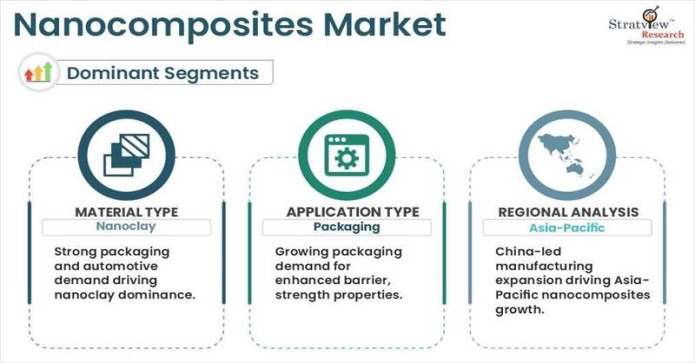 Nanocomposites Market Segments